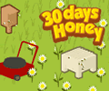 30 Days Honey
